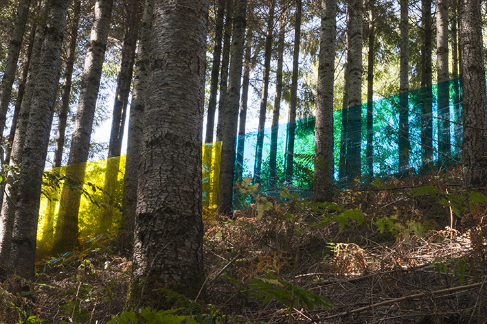 Gelatine en paysage