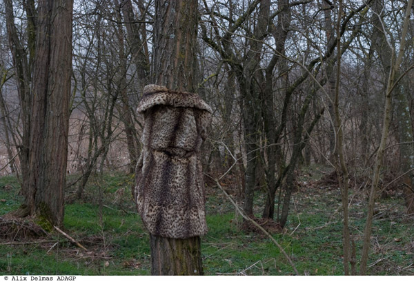 La fourrure en forêt