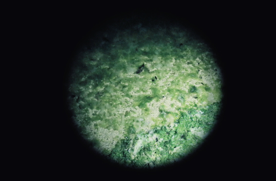 Une nuit sur la plage, une planète