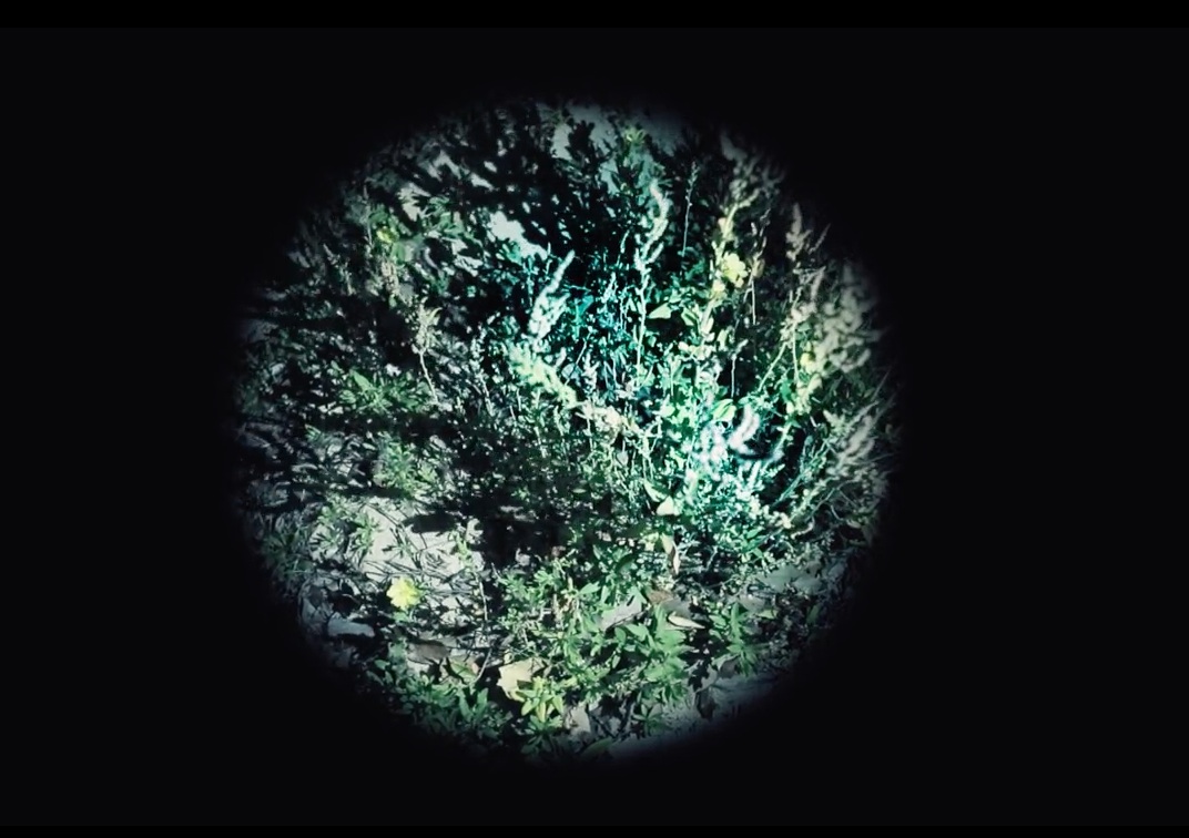 British Artists' Film & Video Study Collection