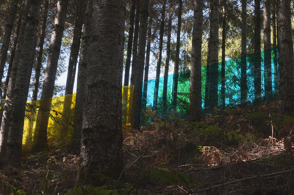 Exposition Écho à Bayard - Photaumnales 2015